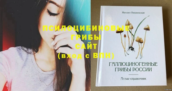 ешки Бронницы