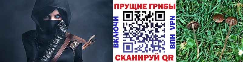 Псилоцибиновые грибы мицелий Горнозаводск